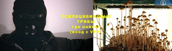 прущие грибы Заволжье