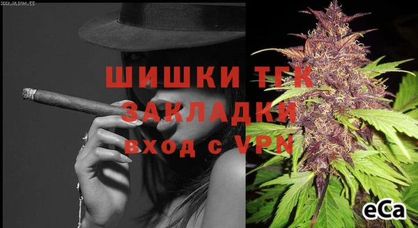 прущие грибы Заволжье