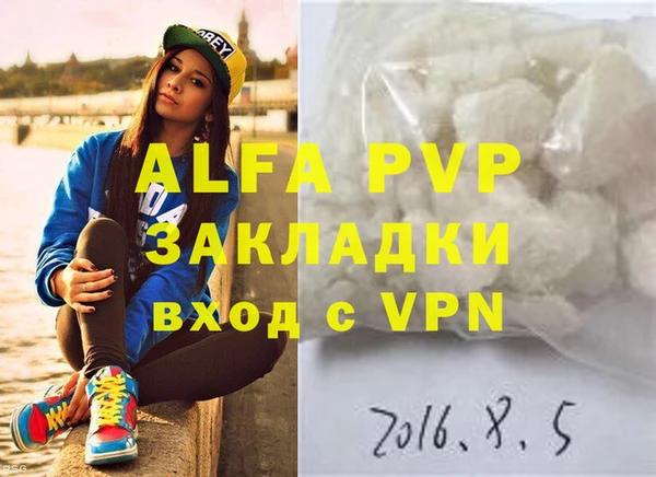 прущие грибы Заволжье
