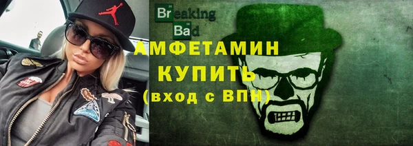 прущие грибы Заволжье