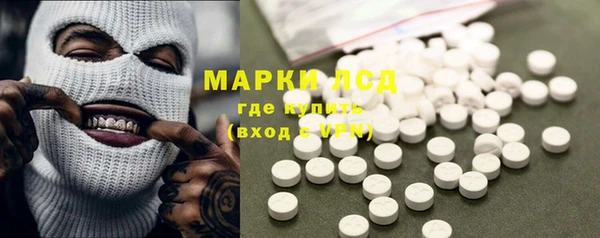 прущие грибы Заволжье